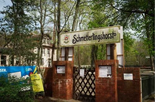 Schmetterlingshorst