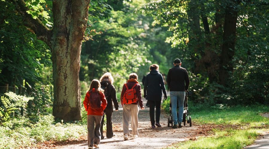 Eine Gruppe von fünf Personen geht auf einem asphaltierten Weg durch einen grünen Park oder Wald, wobei eine Person einen Kinderwagen schiebt. Die Szenerie zeigt hohe Bäume mit dichtem Laub auf beiden Seiten des Weges und natürliches Sonnenlicht, das durch die Baumkronen fällt.