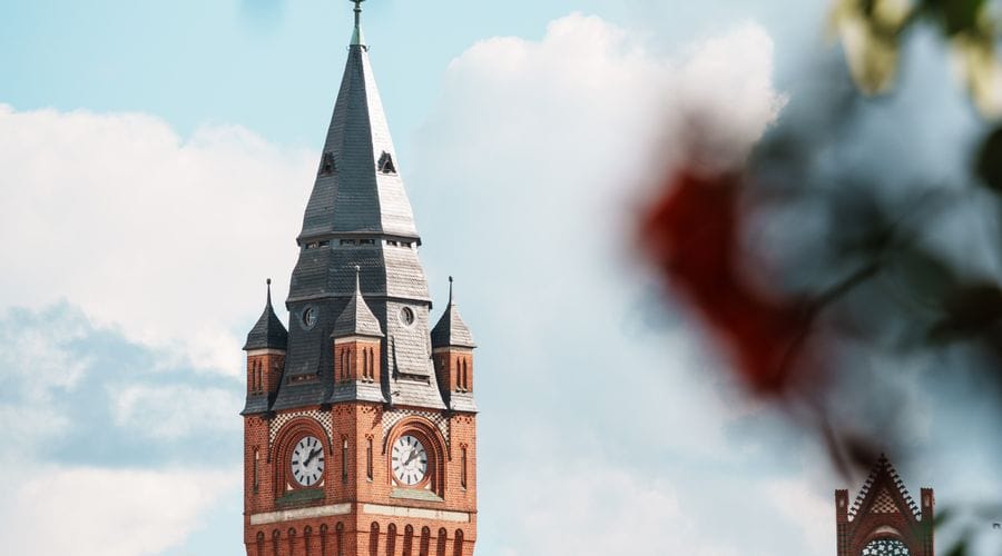 Der backsteinerne Rathausturm mit Turmuhr und spitzem Dach in der Altstadt Köpenick, umgeben von grünen Bäumen unter blauem Himmel mit weißen Wolken.